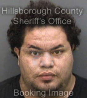 Vazquez Elvin - Hillsborough County, Florida 