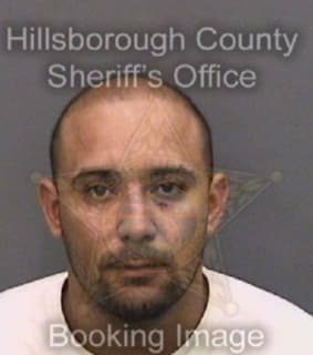 Diaz Emanuel - Hillsborough County, Florida 