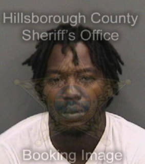 Williams Emanuel - Hillsborough County, Florida 