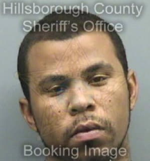 Mingo Joseph - Hillsborough County, Florida 