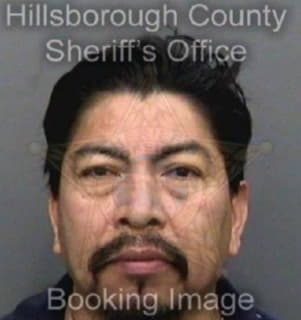 Carballoperez Juan - Hillsborough County, Florida 