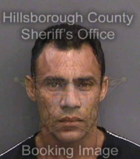 Perezfigueroa Josue - Hillsborough County, Florida 