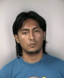 Fernandez Luis - Hillsborough County, Florida 