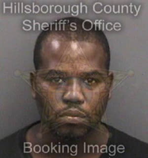 Davis Michael - Hillsborough County, Florida 