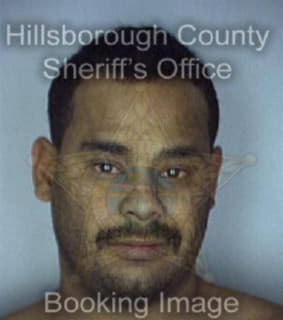 Davila Anthony - Hillsborough County, Florida 