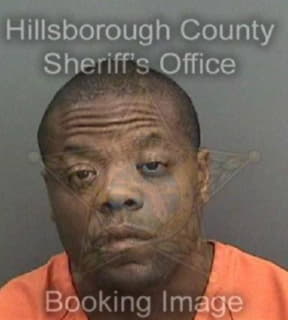 Mccallister Anton - Hillsborough County, Florida 