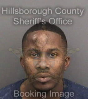 Kelly Prince - Hillsborough County, Florida 