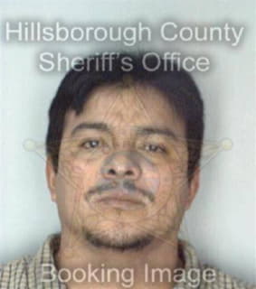 Rubio Carlos - Hillsborough County, Florida 