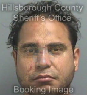 Deleon Josue - Hillsborough County, Florida 