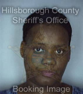 Jeffery Letecia - Hillsborough County, Florida 