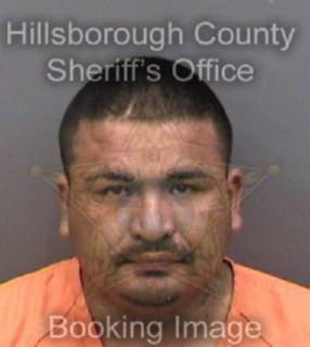 Pena Abel - Hillsborough County, Florida 