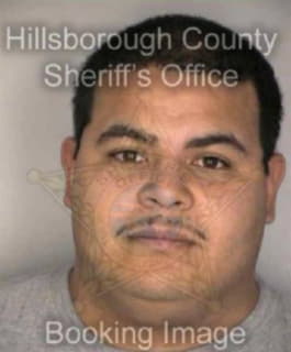 Lopez Edwin - Hillsborough County, Florida 