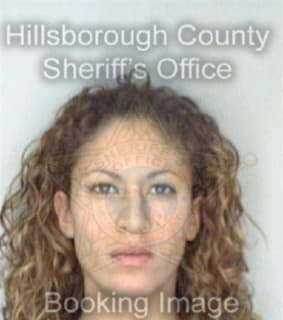 Diaz Marisol - Hillsborough County, Florida 