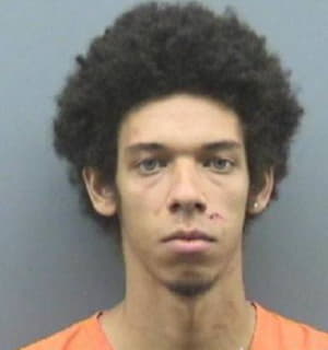 Knowles Steven - Hillsborough County, Florida 