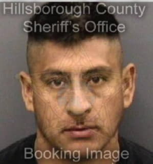 Enriquez Israel - Hillsborough County, Florida 