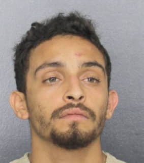 Peralta Landy - Broward County, Florida 