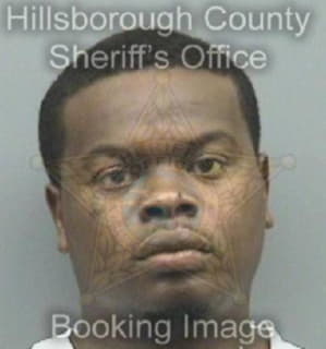 Robinson Roger - Hillsborough County, Florida 