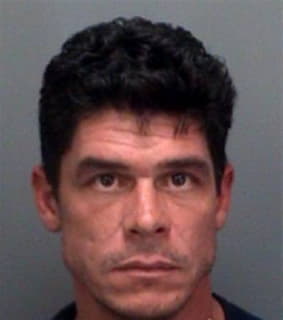 Rufin Christopher - Pinellas County, Florida 