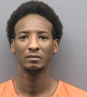 Mccallum Anthony - Hillsborough County, Florida 