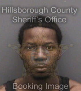 Riley Terrin - Hillsborough County, Florida 