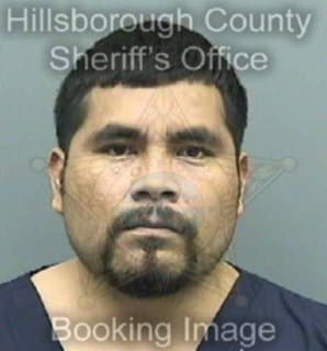 Perez Justino - Hillsborough County, Florida 