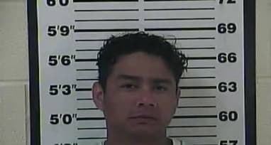 Martinez Luis - Carter County, Tennessee 