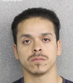 Cerda Luis - Broward County, Florida 