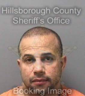 Perez Mark - Hillsborough County, Florida 