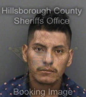 Bravo Rosanio - Hillsborough County, Florida 