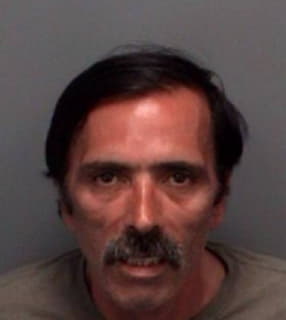 Delio Anthony - Pinellas County, Florida 