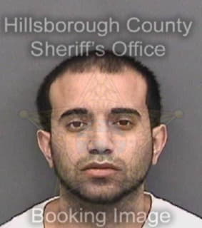 Ortiz Dennis - Hillsborough County, Florida 