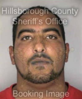 Davila Luis - Hillsborough County, Florida 