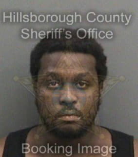 Johnson Demetrius - Hillsborough County, Florida 