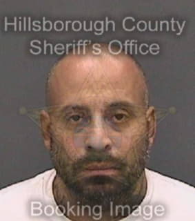 Diaz Eric - Hillsborough County, Florida 