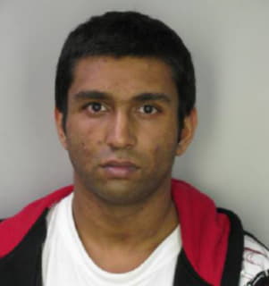 Patel Ronak - Hillsborough County, Florida 