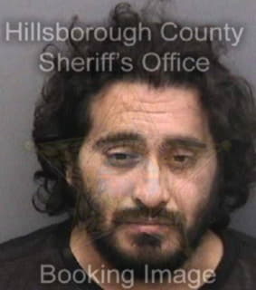 Pineda Alejandro - Hillsborough County, Florida 