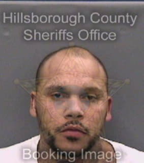 Ross Anthony - Hillsborough County, Florida 