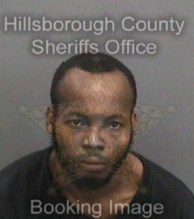 Davis Christopher - Hillsborough County, Florida 