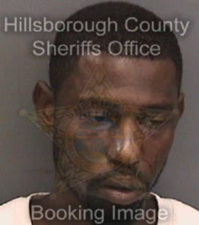 Johnson Fernando - Hillsborough County, Florida 