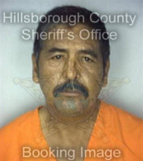 Perez Ignacio - Hillsborough County, Florida 