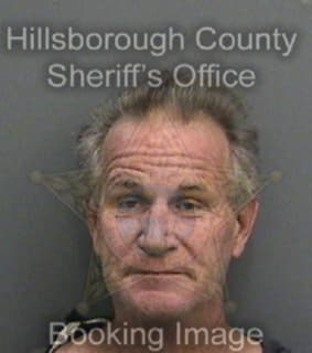 Cowles Michael - Hillsborough County, Florida 