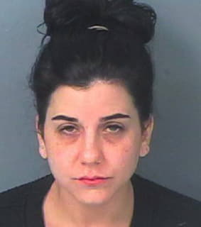 Diviccaro Michelle - Hernando County, Florida 