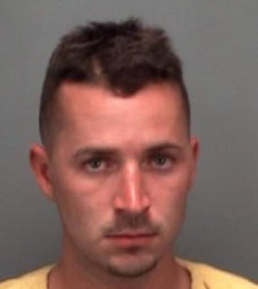 Bogdan Nicholas - Pinellas County, Florida 