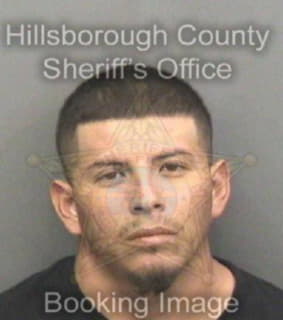 Delatrinidad Raul - Hillsborough County, Florida 