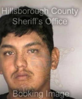 Hernandez Julian - Hillsborough County, Florida 