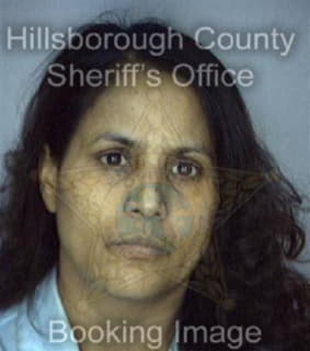 Belal Mohsen - Hillsborough County, Florida 