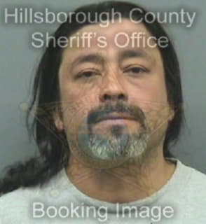 Mejia Sergio - Hillsborough County, Florida 