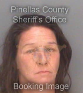 Ray Sherri - Pinellas County, Florida 