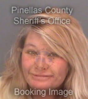 Brunell Susan - Pinellas County, Florida 