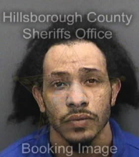 Deleon Xavier - Hillsborough County, Florida 